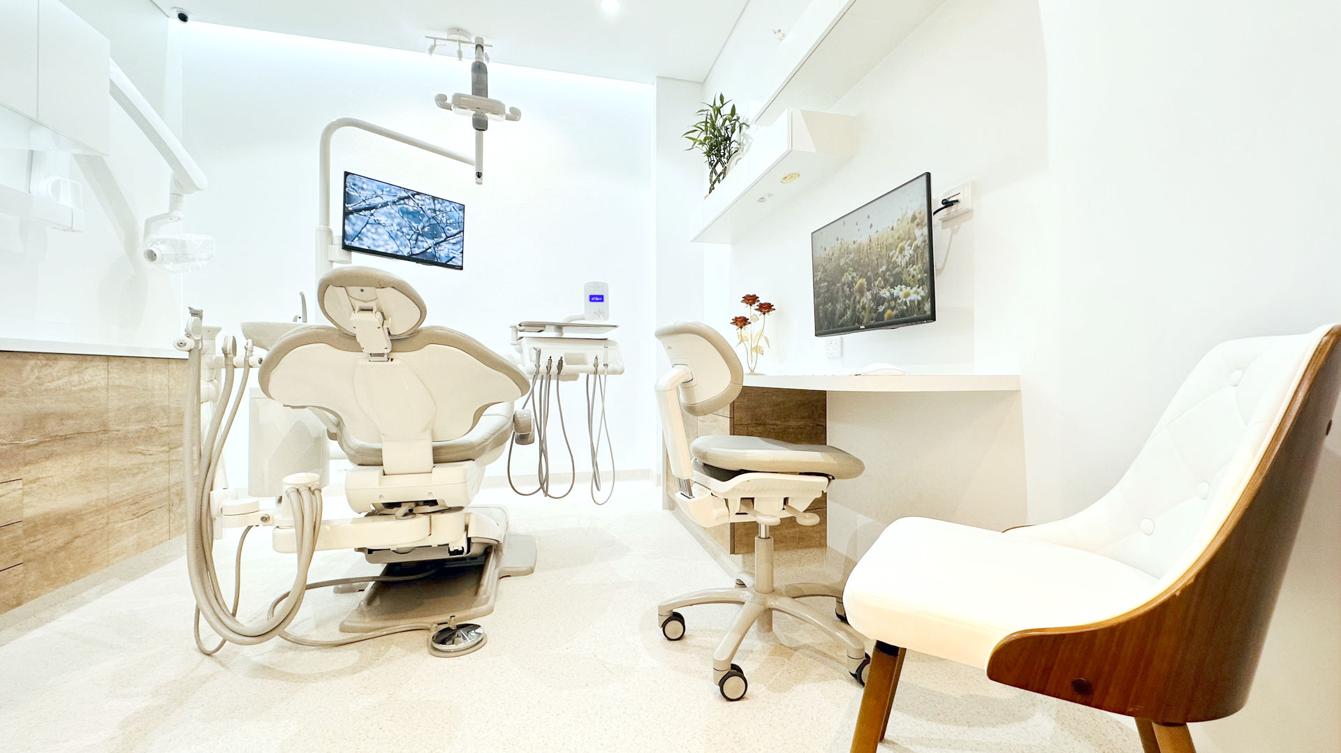 dentist clinic room in five dock